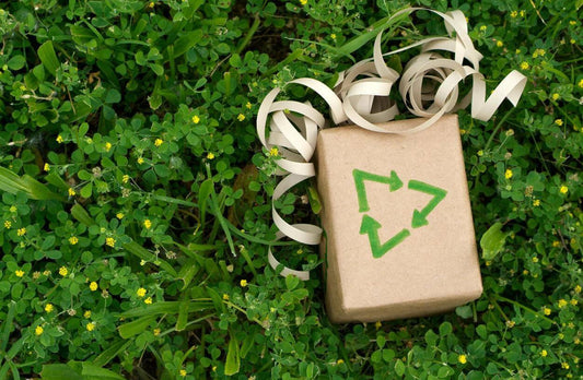 Cadeaux Éco-responsables : Choix Verts pour Toutes les Occasions