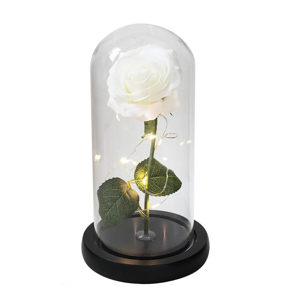 Cadeau showroom 13 Rose éternelle