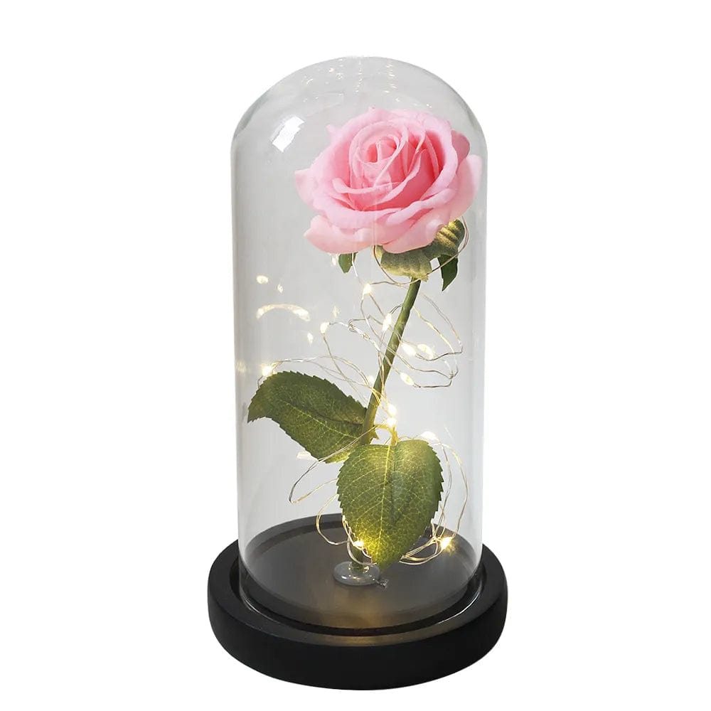 Cadeau showroom 14 Rose éternelle