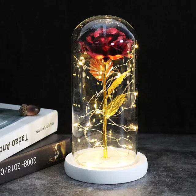 Cadeau showroom 25 Rose éternelle