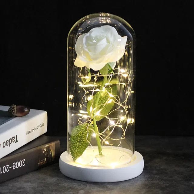 Cadeau showroom 6 Rose éternelle