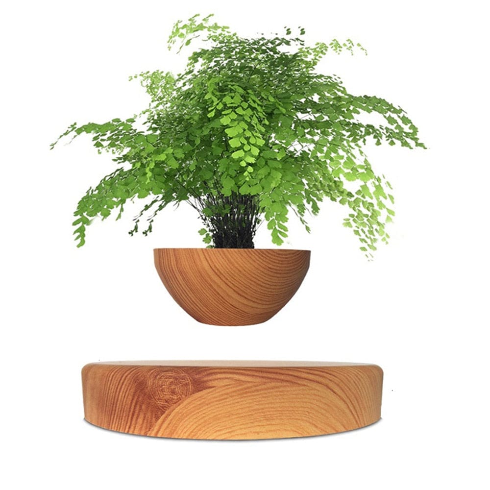 Cadeau showroom Marron Pot à bonsaï à lévitation