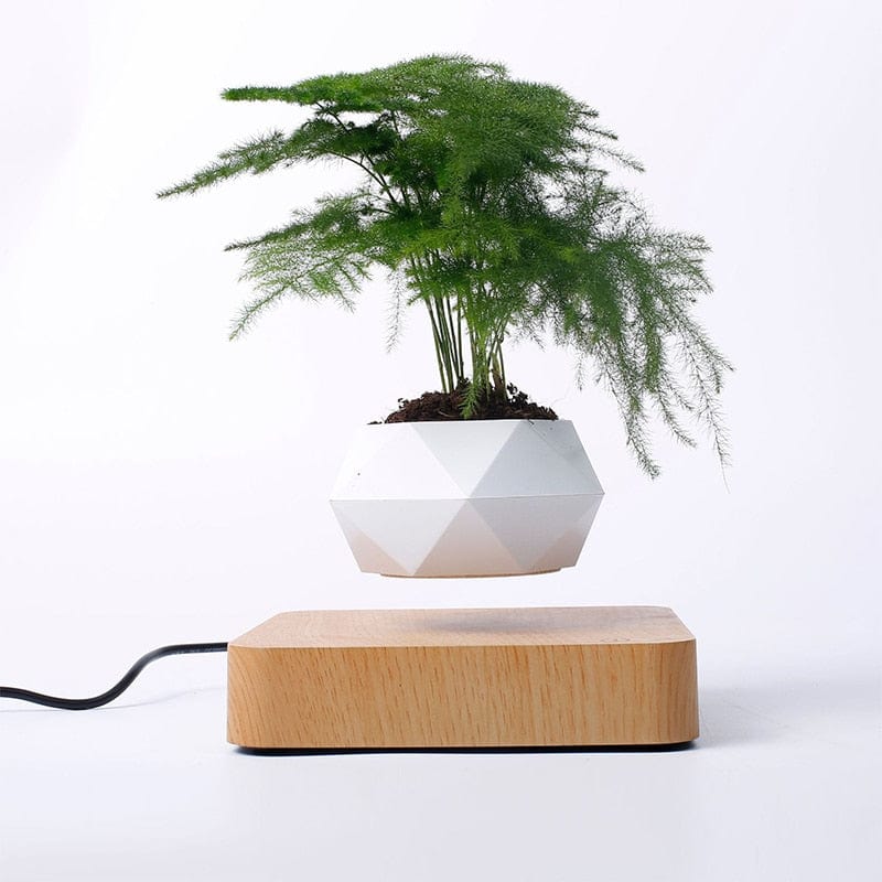 Cadeau showroom Pot à bonsaï à lévitation magnétique