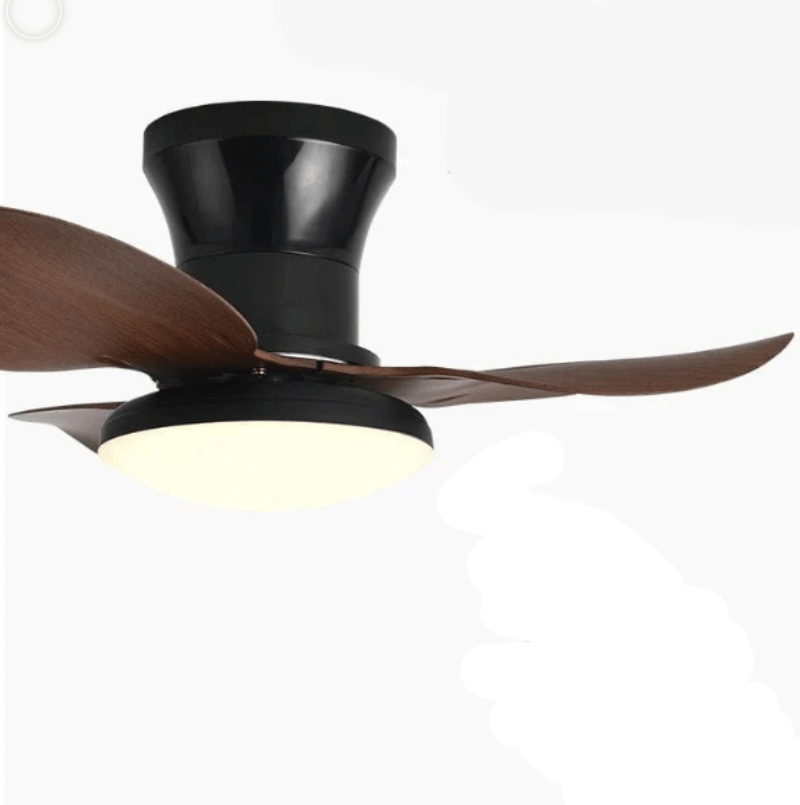 Cadeau showroom ventilateurs Noir Ventilateur de plafond silencieux à haute puissance