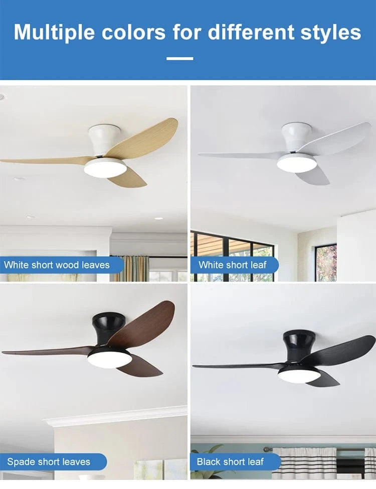 Cadeau showroom ventilateurs Ventilateur de plafond silencieux à haute puissance
