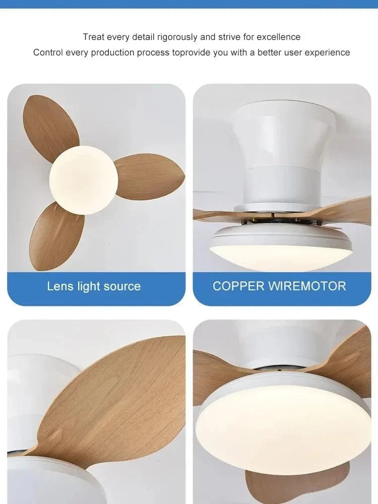 Cadeau showroom ventilateurs Ventilateur de plafond silencieux à haute puissance