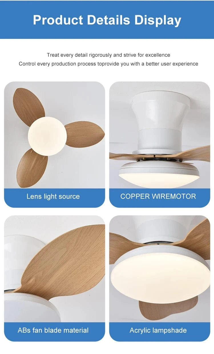 Cadeau showroom ventilateurs Ventilateur de plafond silencieux à haute puissance