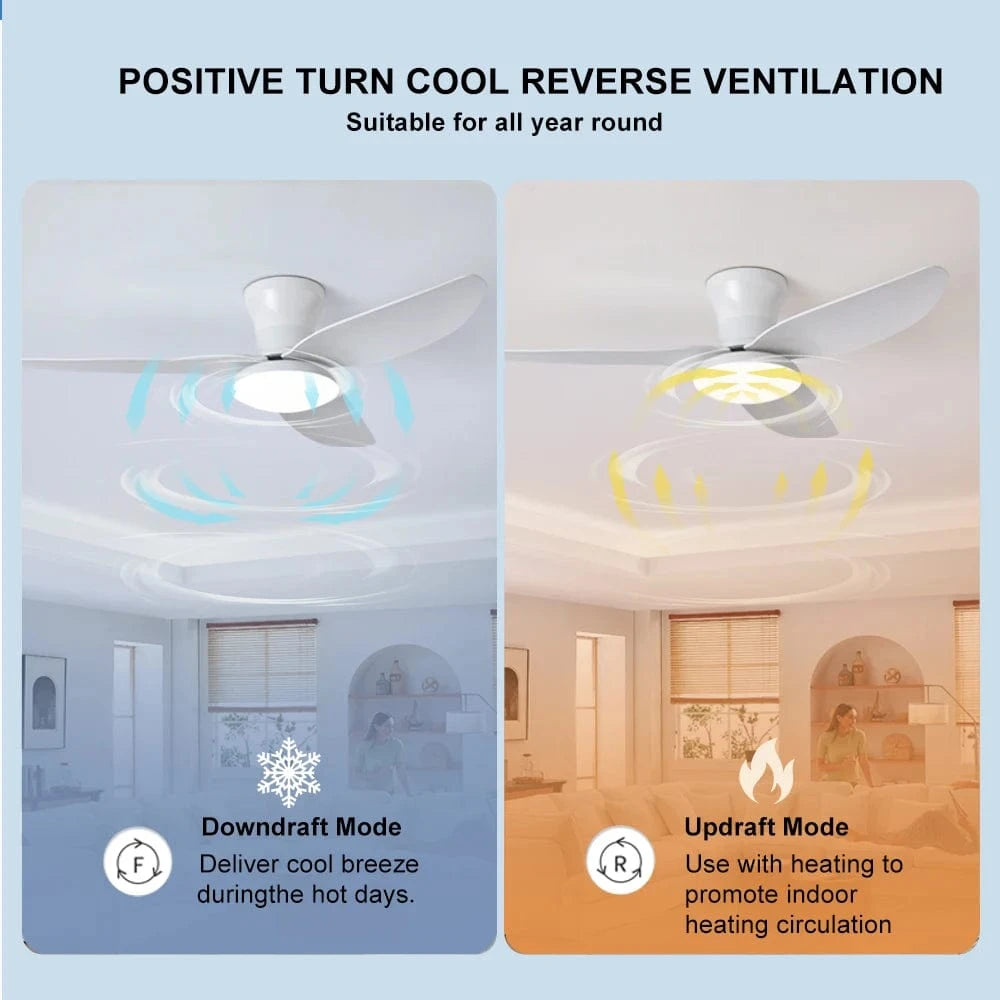 Cadeau showroom ventilateurs Ventilateur de plafond silencieux à haute puissance