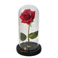 Cadeau showroom 10 Rose éternelle