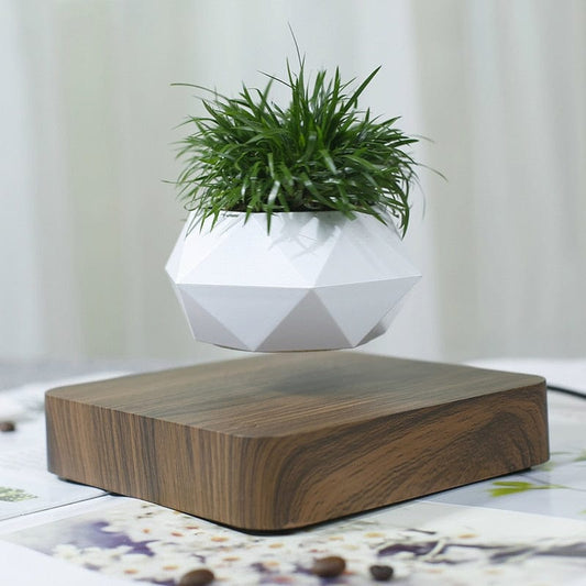Cadeau showroom Pot à bonsaï à lévitation magnétique