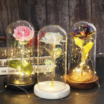 Cadeau showroom Rose éternelle