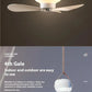 Cadeau showroom ventilateurs Blanc - batterie 7200mah Ventilateur de plafond portable rechargeable à LED