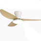 Cadeau showroom ventilateurs Marron Ventilateur de plafond silencieux à haute puissance