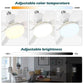 Cadeau showroom ventilateurs Ventilateur de plafond avec LED 40 W