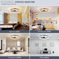 Cadeau showroom ventilateurs Ventilateur de plafond intelligent et moderne