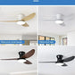 Cadeau showroom ventilateurs Ventilateur de plafond silencieux à haute puissance