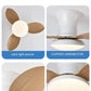 Cadeau showroom ventilateurs Ventilateur de plafond silencieux à haute puissance