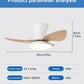Cadeau showroom ventilateurs Ventilateur de plafond silencieux à haute puissance